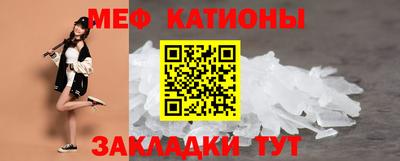 прущие грибы Дубна