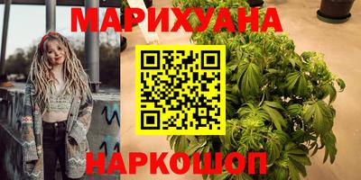 прущие грибы Дубна