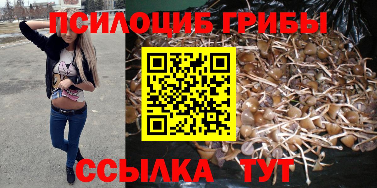 Михайловка  Псилоцибиновые грибы Psilocybine cubensis  Вход с VPN  Псилоцибиновые грибы Psilocybine cubensis 
